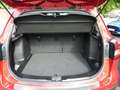 Suzuki SX4 S-Cross Comfort+ 4x4 "Top Austattung" Rot - thumbnail 7