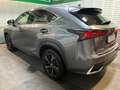 Lexus NX 300h NX 300h 2.5 premium 4wd cvt Gris - thumbnail 5
