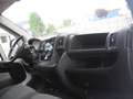 Fiat Ducato 35 2.3 MJT 130CV MH2 PM-TA Motore Rotto Bianco - thumbnail 6