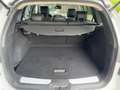 Renault Koleos TECHNO 2.0 BLUE dCi 185 4WD X-Tronic CVT Weiß - thumbnail 19