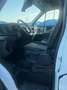 Ford TRANSIT 330 2.0 TDCI 130CV TREND L2 H2 E6.2 Bianco - thumbnail 8