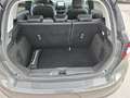 Ford Fiesta FIESTA TITANIUM 1,0 ECOBOOST HYBRID 92/125PS M6 Grau - thumbnail 12
