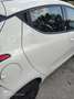Lancia Ypsilon 0.9 t.air Elefantino ecochic metano 80cv clima Bianco - thumbnail 15