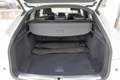 Audi SQ5 Sportback TDI qu. tiptr.(Luftfd.,Tour,Matrix,L Weiß - thumbnail 14