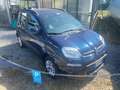 Fiat Panda Panda 1.2 Lounge easypower Gpl 69cv Blu/Azzurro - thumbnail 2