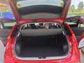 Kia Niro 1.6 GDi HEV Emotion Rojo - thumbnail 26