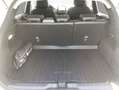 Ford Puma 1.0 EcoBoost Hybrid TITANIUM X Weiß - thumbnail 5