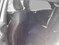 Ford Puma 1.0 EcoBoost Hybrid TITANIUM X Weiß - thumbnail 7