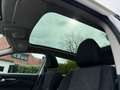 Nissan Qashqai 1.2 Premier Edition Pano/Navi/360/Trekhaak Weiß - thumbnail 11