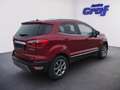Ford EcoSport 1,0 EcoBoost Titanium Rot - thumbnail 4