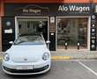 Volkswagen Beetle 2.0TDI Design 81kW Blanco - thumbnail 1