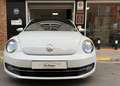 Volkswagen Beetle 2.0TDI Design 81kW Blanco - thumbnail 8