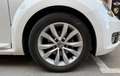 Volkswagen Beetle 2.0TDI Design 81kW Blanco - thumbnail 5