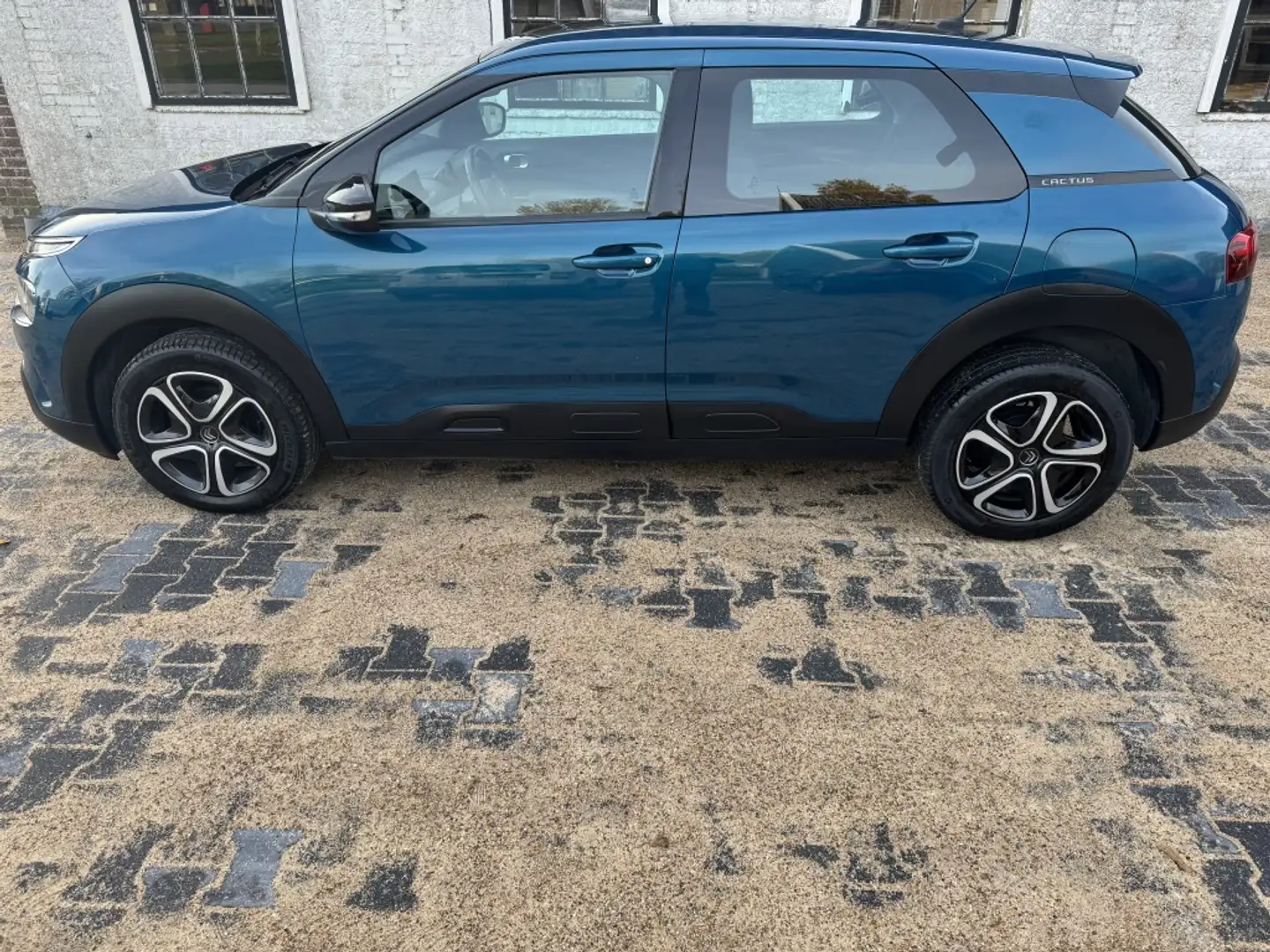 Citroen C4 Cactus 1.2 PT Business / all in prijs/ apple carplay/andr Azul - 2