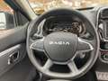 Dacia Spring - thumbnail 10