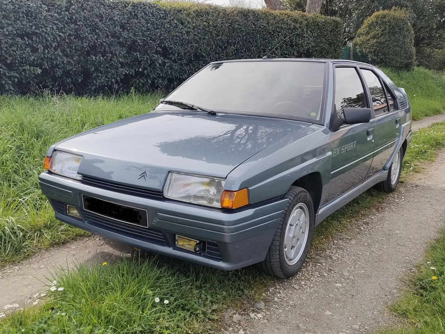 Citroen BX 1.9 Sport Gris - 1