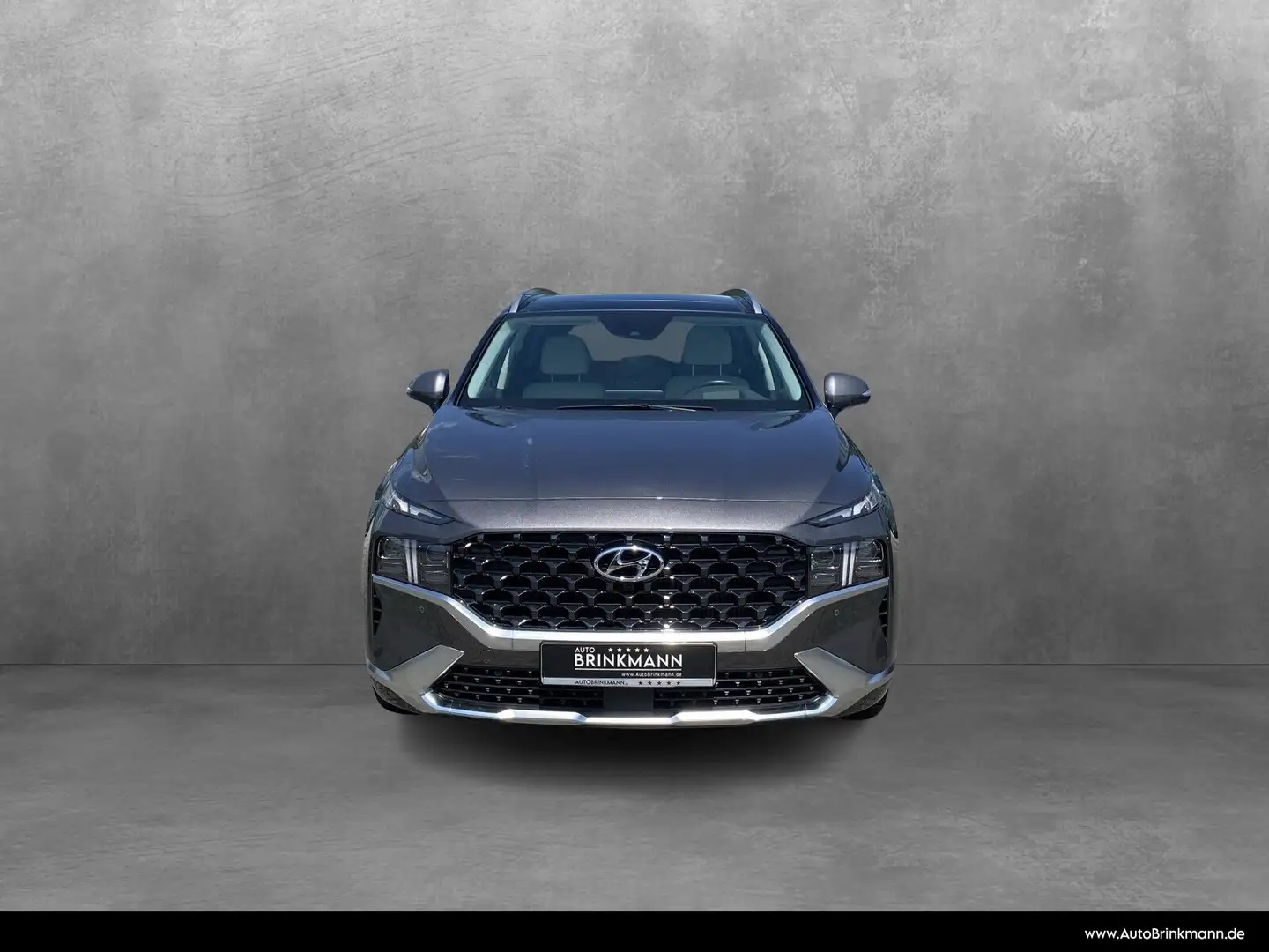 Hyundai SANTA FE Santa Fe 2.2 CRDi Signature 4WD 5-Sitzer  Navi/SHZ Grijs - 2