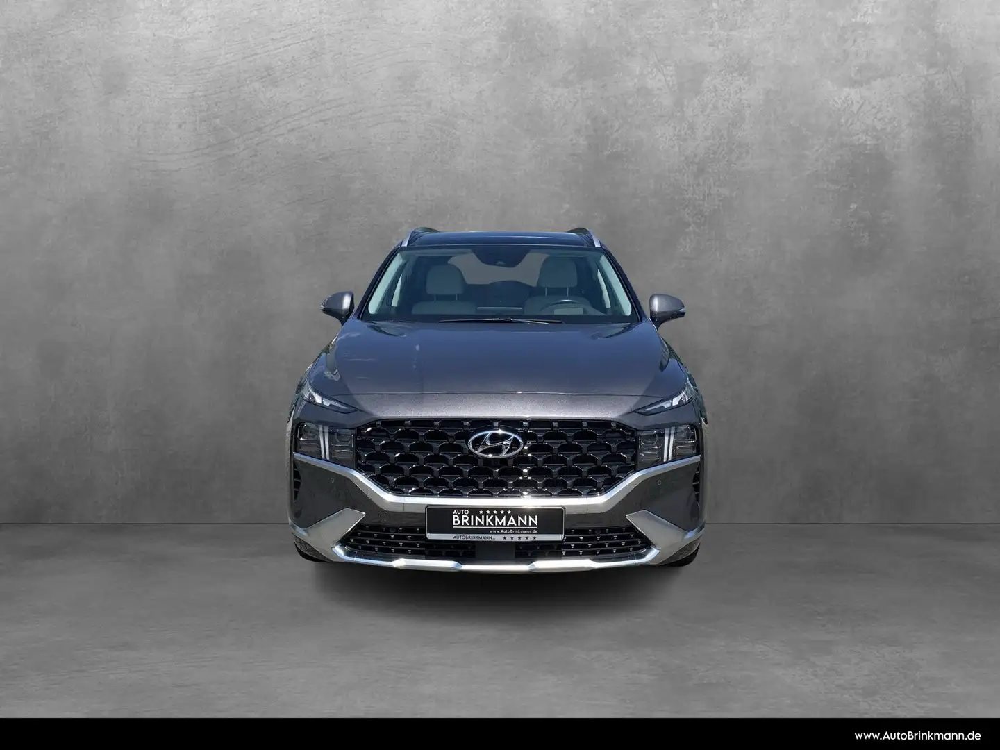 Hyundai SANTA FE Santa Fe 2.2 CRDi Signature 4WD 5-Sitzer  Navi/SHZ Gris - 2