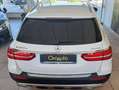 Mercedes-Benz E 220 Cdi 4 Matic All Terrain-Pelle Totale-FullLed Bianco - thumbnail 6