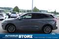 Ford Kuga Vignale WINTER PAKET|TECHNO PAKET|FAHRASSI PAKET|A Plateado - thumbnail 6
