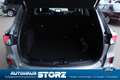 Ford Kuga Vignale WINTER PAKET|TECHNO PAKET|FAHRASSI PAKET|A Plateado - thumbnail 14