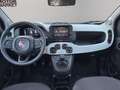 Fiat Panda Pandina 1.0 firefly hybrid s&s 70cv Blu/Azzurro - thumbnail 13