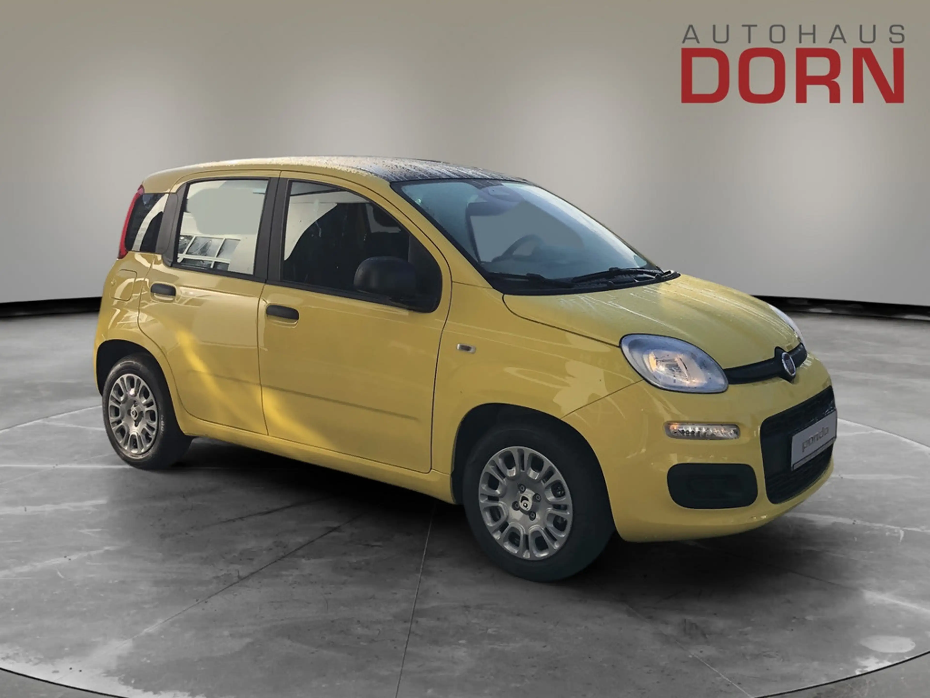 Fiat Panda Pandina Icon 1.0 Hybrid 48 kW — photo 4