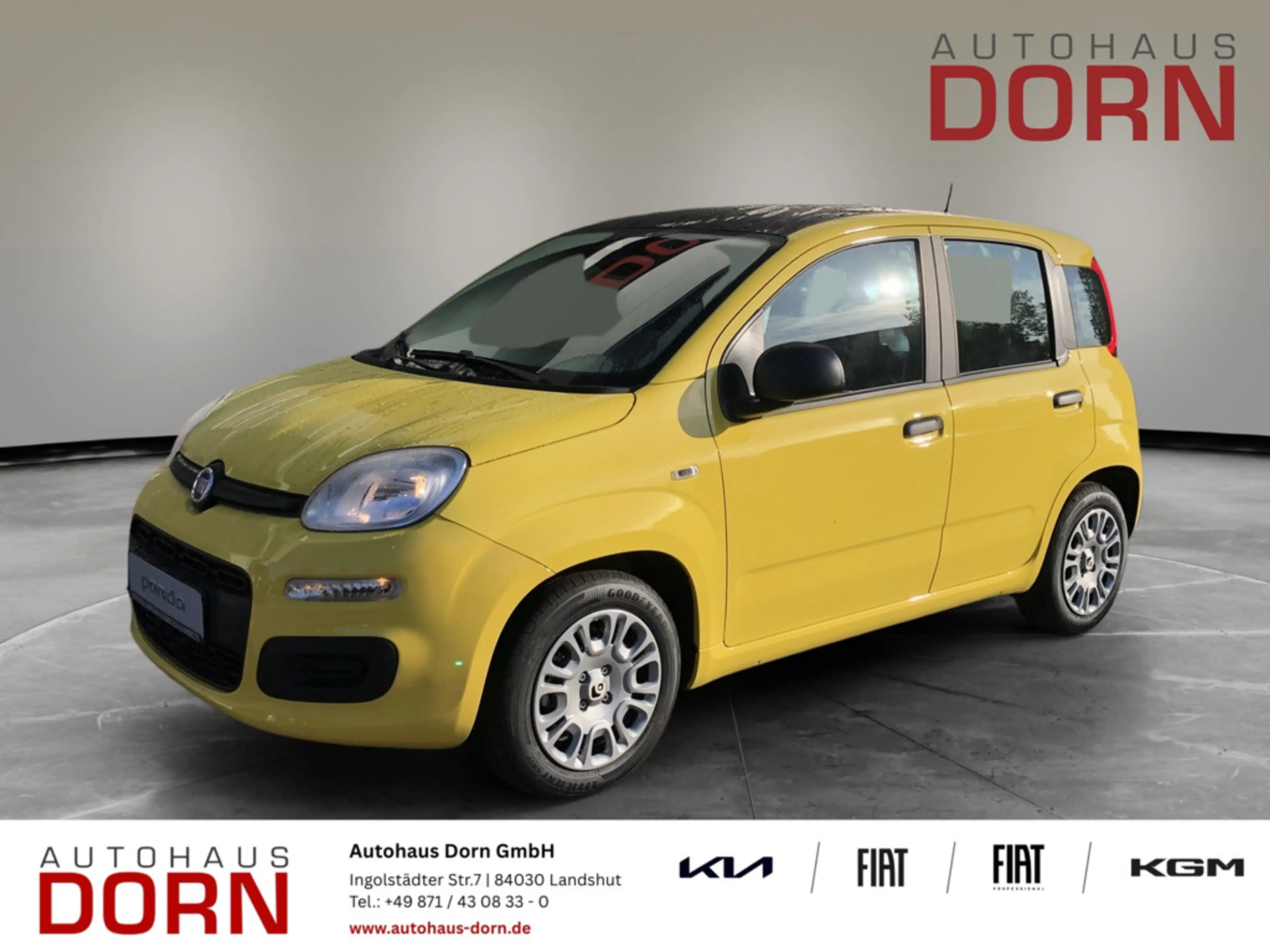 Fiat Panda Pandina Icon 1.0 Hybrid 48 kW