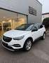 Opel Grandland X 1.2 Turbo 130ch Business Edition BVA Weiß - thumbnail 1