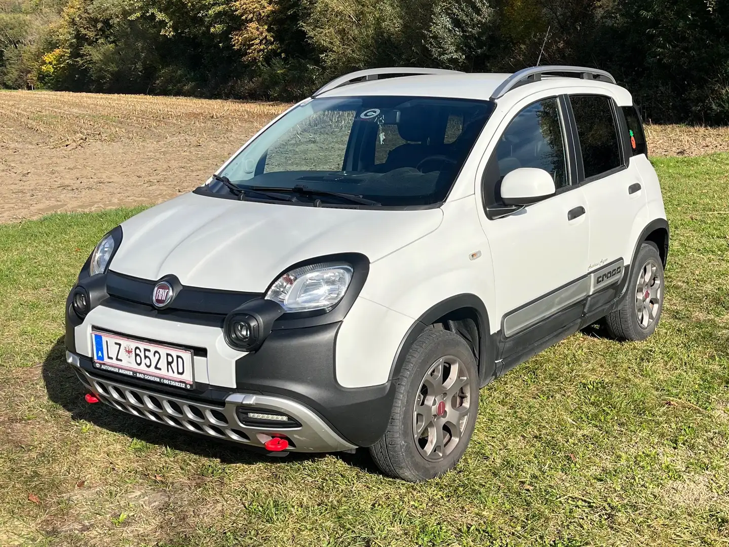 Fiat Panda Panda TwinAir 85 4x4 Cross Cross Weiß - 1