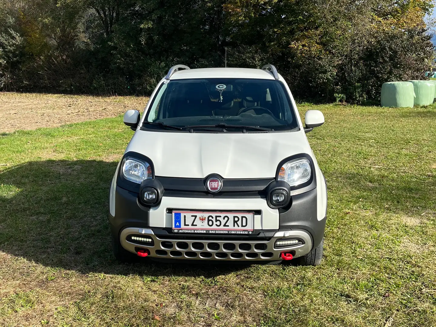Fiat Panda Panda TwinAir 85 4x4 Cross Cross Weiß - 2