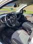Fiat Panda Panda TwinAir 85 4x4 Cross Cross Weiß - thumbnail 5