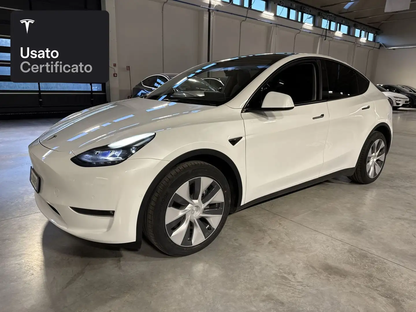 Tesla Model Y Long Range AWD Bianco - 1