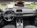 Mazda CX-5 CD150 AWD AT Revolution Rot - thumbnail 8