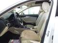 Audi A4 Avant 40 2.0 TDI Advanced Quattro S-Tronic TETTO Bianco - thumbnail 7
