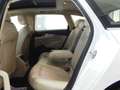 Audi A4 Avant 40 2.0 TDI Advanced Quattro S-Tronic TETTO Bianco - thumbnail 8