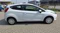 Ford Fiesta 1.6 TDCi  ADATTA NEOPATENTATI Bianco - thumbnail 6