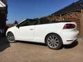 Volkswagen Golf Cabriolet Golf VI Cabrio Cabrio 1.2 TSI Blanc - thumbnail 5