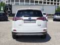 Toyota RAV 4 2.5 4x2 Hybrid Edition Blanc - thumbnail 7