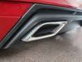 SEAT Ibiza 1.0 TSI 85 kW (115 CV) FR Salta! Rojo - thumbnail 22