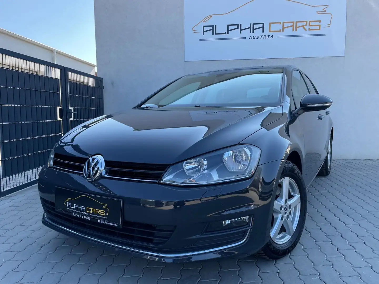 Volkswagen Golf VII 1.6 TDI BlueMotion Tech. Grau - 1