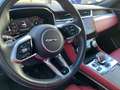 Jaguar F-Pace D300 AWD R-DYNAMIC SE PIXEL-LED+SHZG+LMF Grau - thumbnail 15