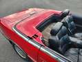Maserati TC Cabrio mit Hardtop Czerwony - thumbnail 12