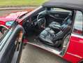 Maserati TC Cabrio mit Hardtop Czerwony - thumbnail 15
