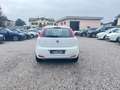 Fiat Punto Punto 5p 1.3 mjt Street s Bianco - thumbnail 6