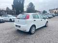 Fiat Punto Punto 5p 1.3 mjt Street s Bianco - thumbnail 8