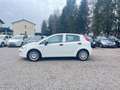 Fiat Punto Punto 5p 1.3 mjt Street s Bianco - thumbnail 4