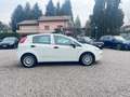 Fiat Punto Punto 5p 1.3 mjt Street s Bianco - thumbnail 9