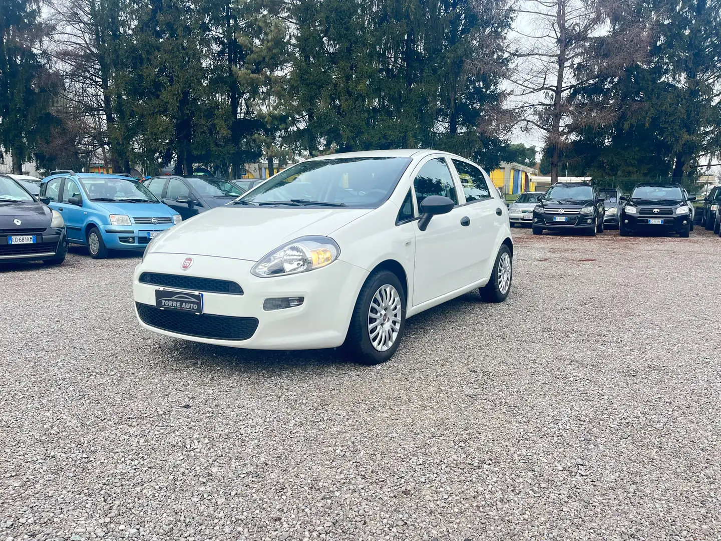 Fiat Punto Punto 5p 1.3 mjt Street s Blanco - 1