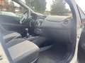 Fiat Punto Punto 5p 1.3 mjt Street s Bianco - thumbnail 10